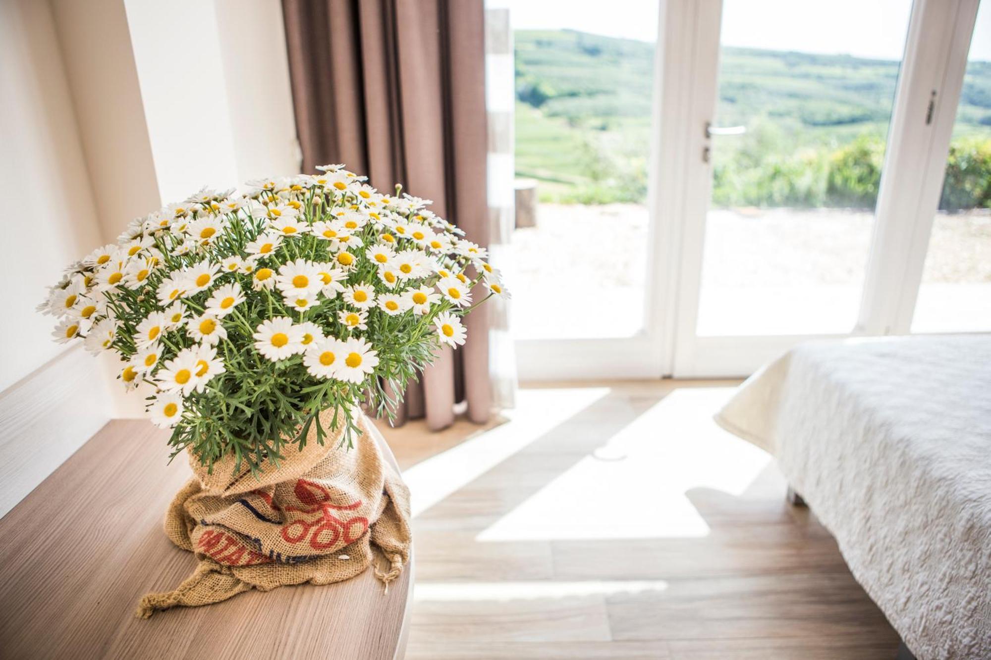 Agriturismo Casa Zen San Martino Buon Albergo Εξωτερικό φωτογραφία